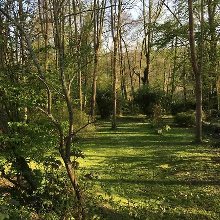 Avec Grand Jardin Arbore Gif Sur Yvette Centre ヴィラ